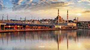 Istanbul Zirconium Dental Crown Prices